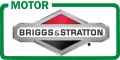Motor Briggs&Stratton