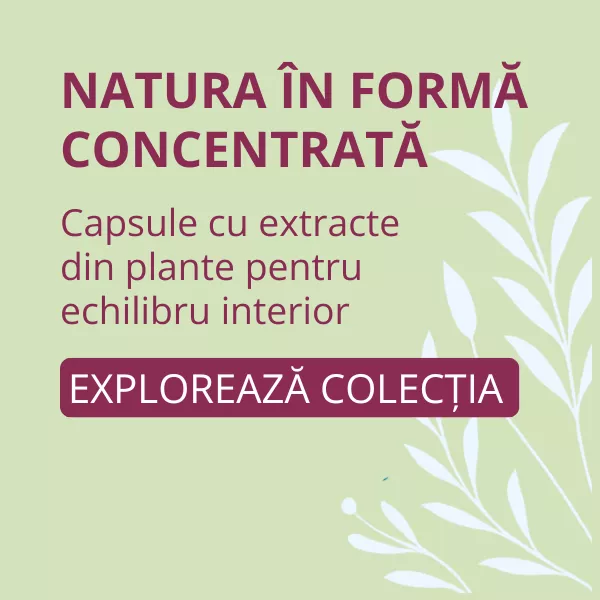 Capsule 
