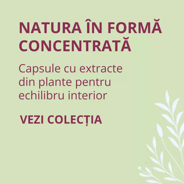 Capsule 
