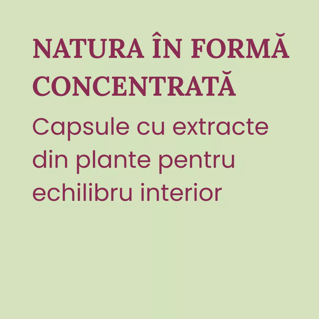 Capsule 