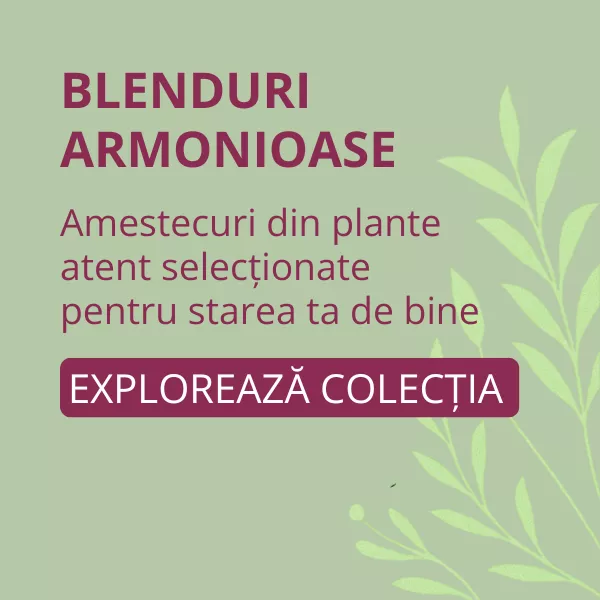 Ceaiuri Combinate
