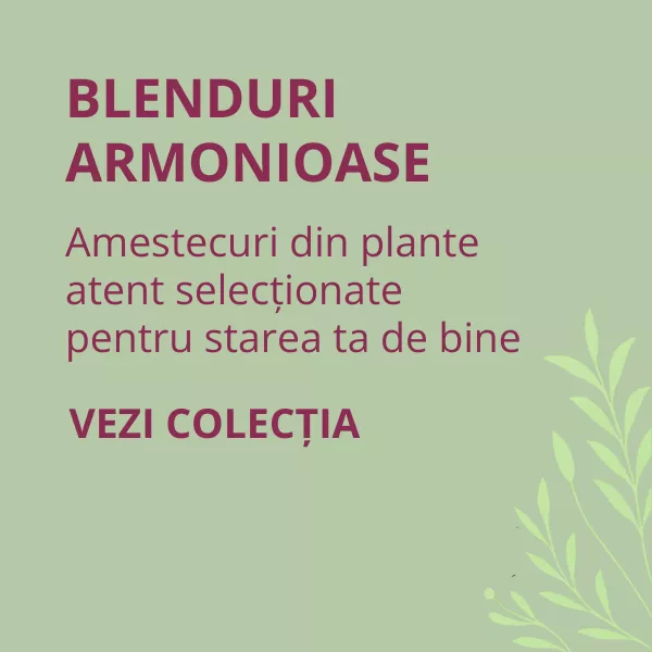 Ceaiuri Combinate