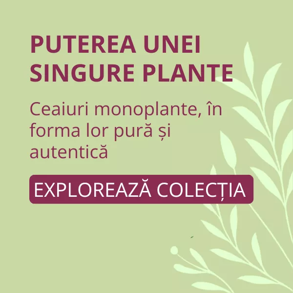 Ceaiuri Simple