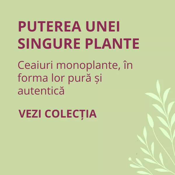 Ceaiuri Simple
