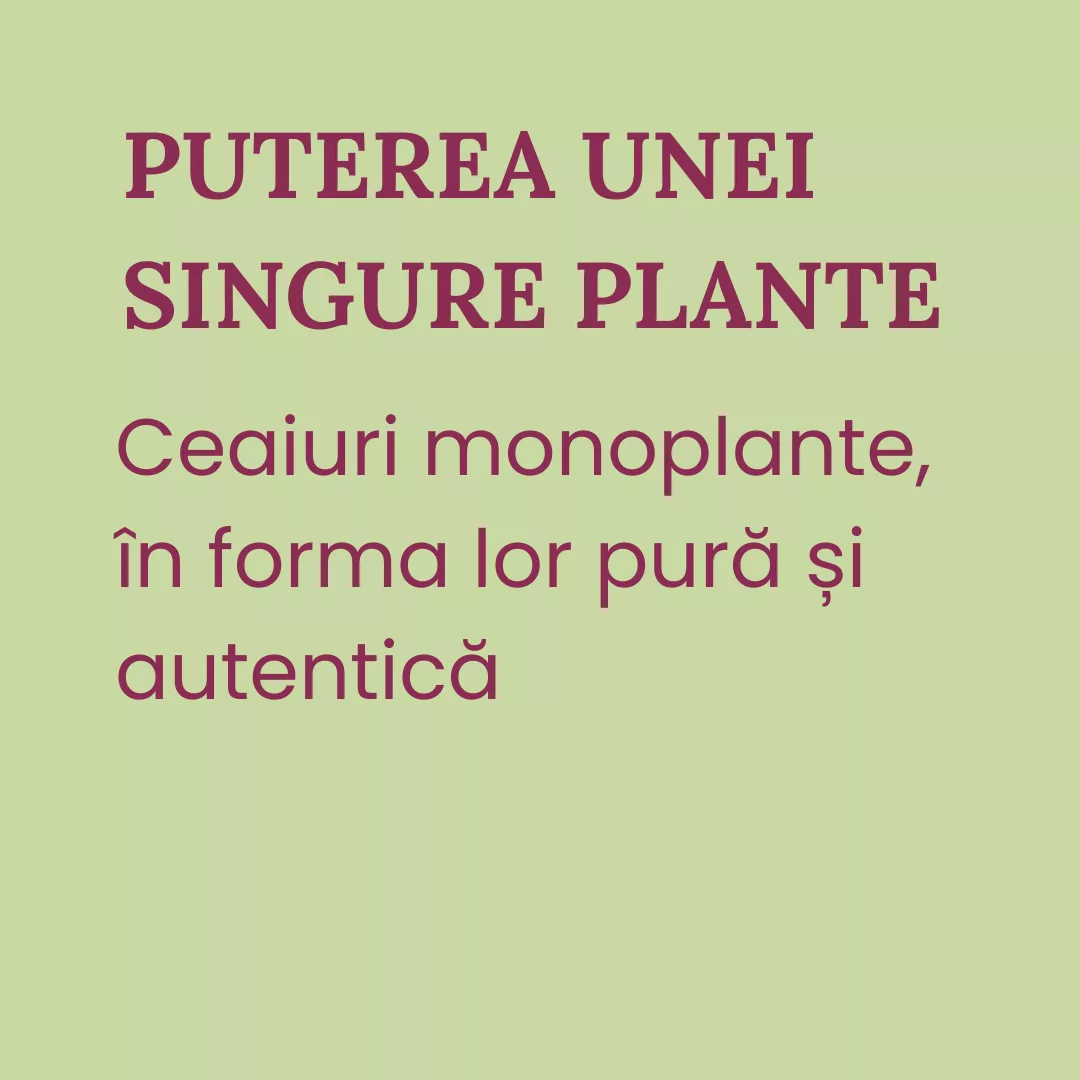 Ceaiuri Simple