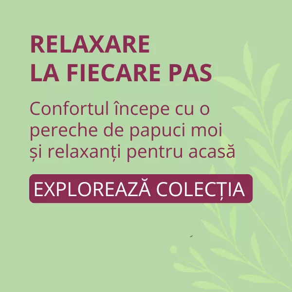 Papuci de casă