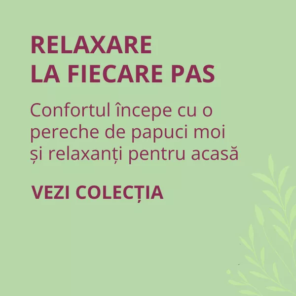 Papuci de casă