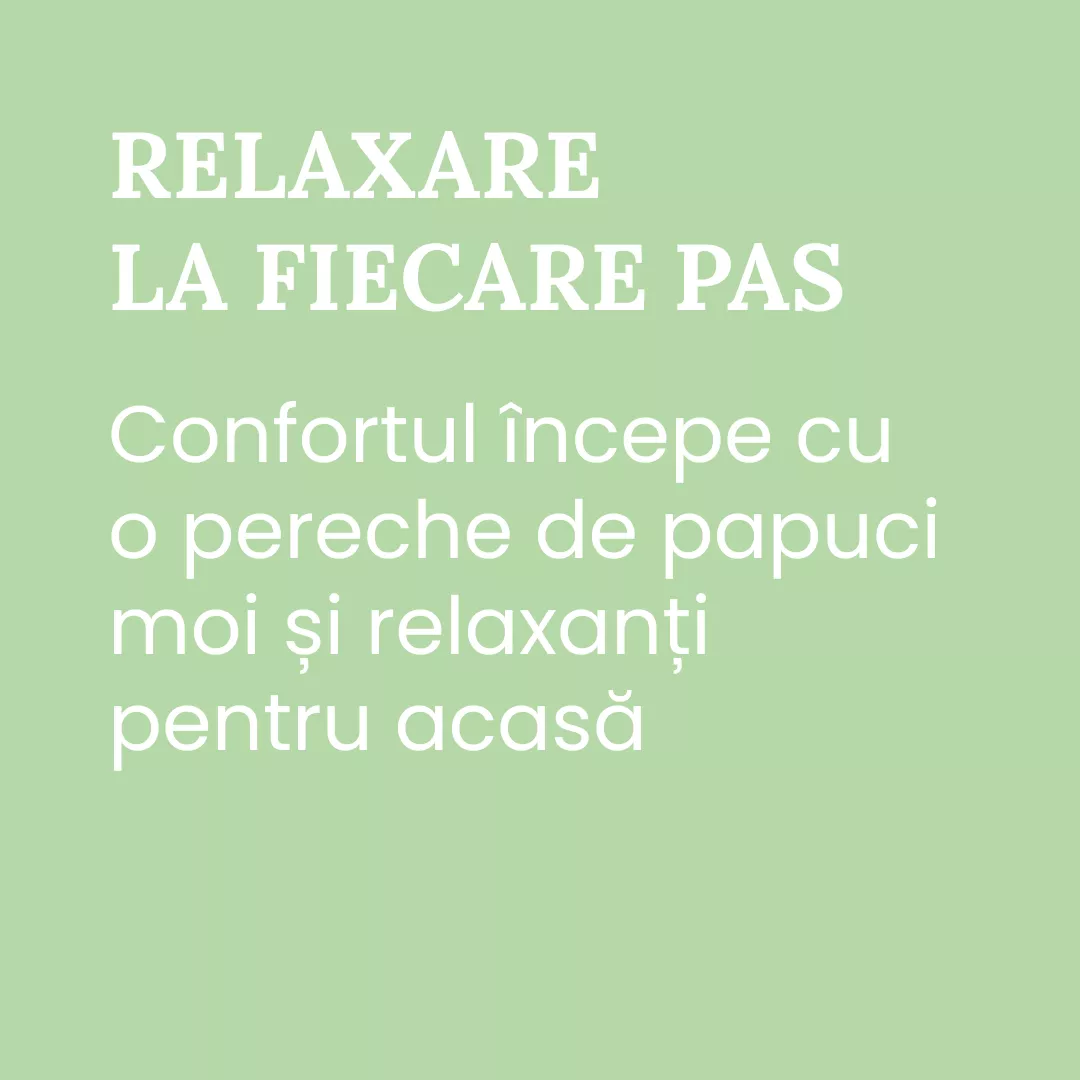 Papuci de casă