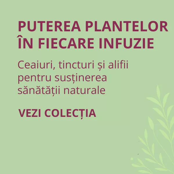 Plante medicinale