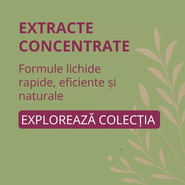 Tincturi 
