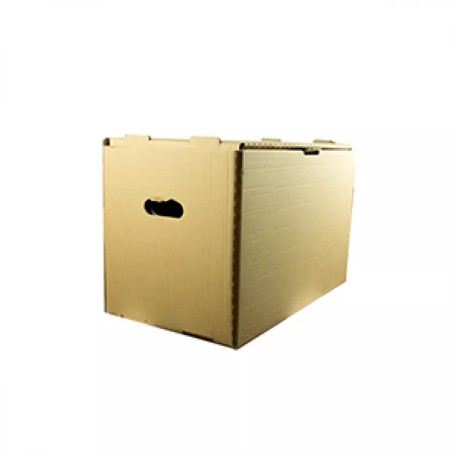 Container arhivare cu capac integrat 555*350*320mm ,maner si pereti dublii(poate stoca 7 bibliorafturi de 7,5 sau 3 cutii de arhivare de 15cm) - tip Esselte