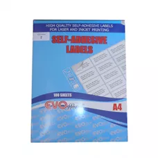 Etichete autoadezive pentru imprimante 6/A4 105x99mm 100coli/top EVOffice Economic