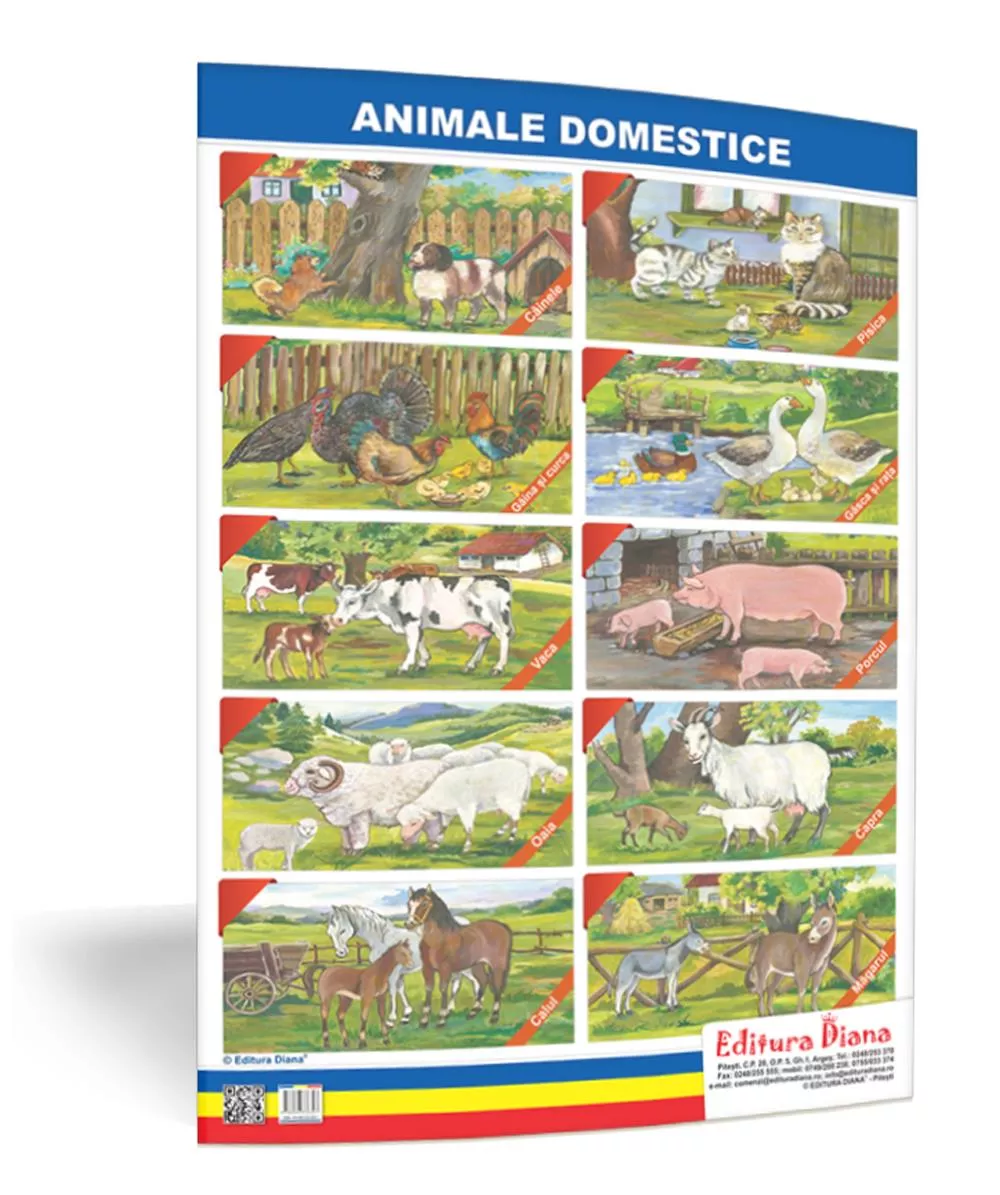 Animale domestice - planșă 50x70 - Proiecte Tematice