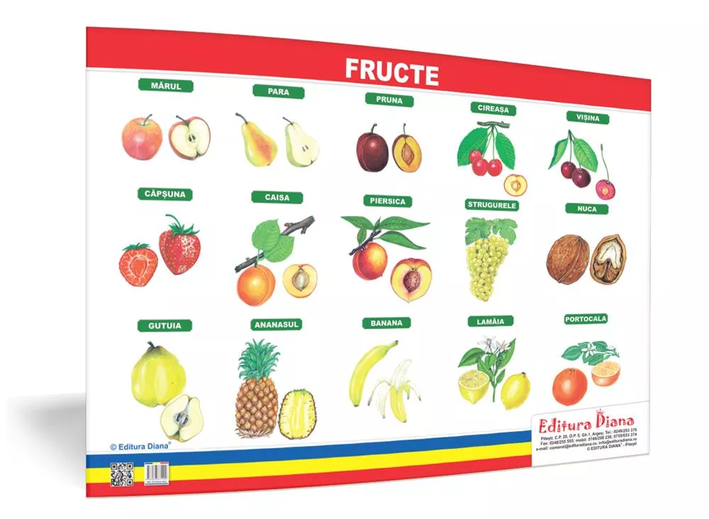 Fructe - planșă 50x70 - Proiecte Tematice