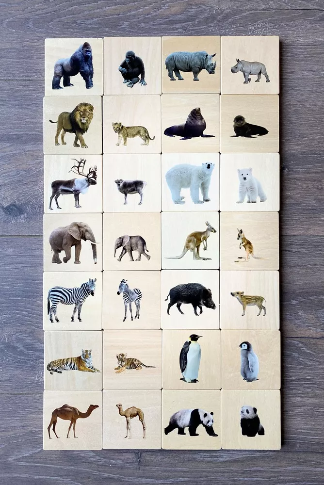 Joc de memorie cu 28 de piese din lemn - Animale sălbatice si pui