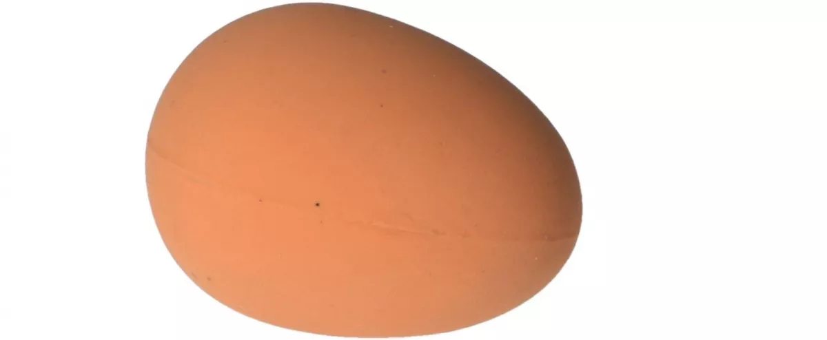 Minge supersăltăreață în formă de ou