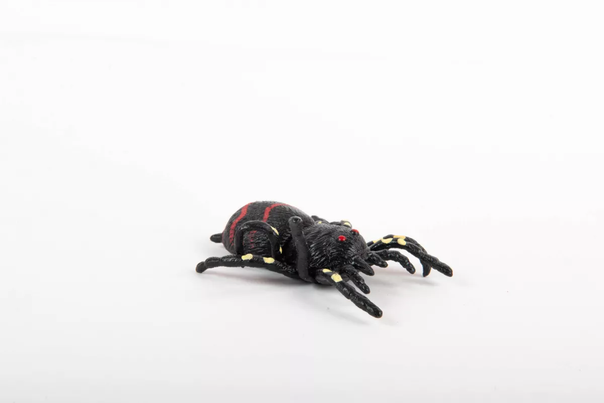 Păianjen  din cauciuc elastic, 9 cm