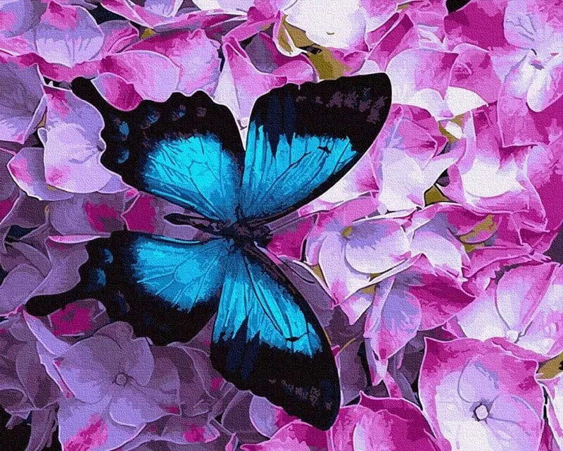 Pictură pe numere - Fluture albastru pe flori