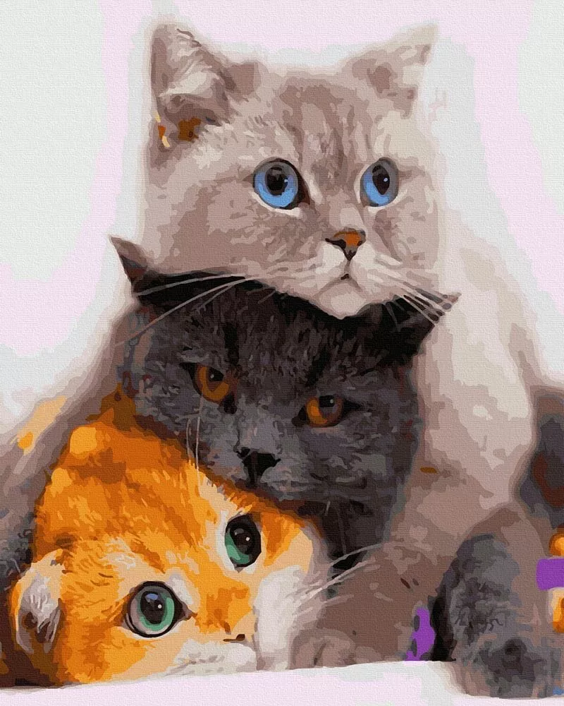 Pictură pe numere – 3 pisicuțe