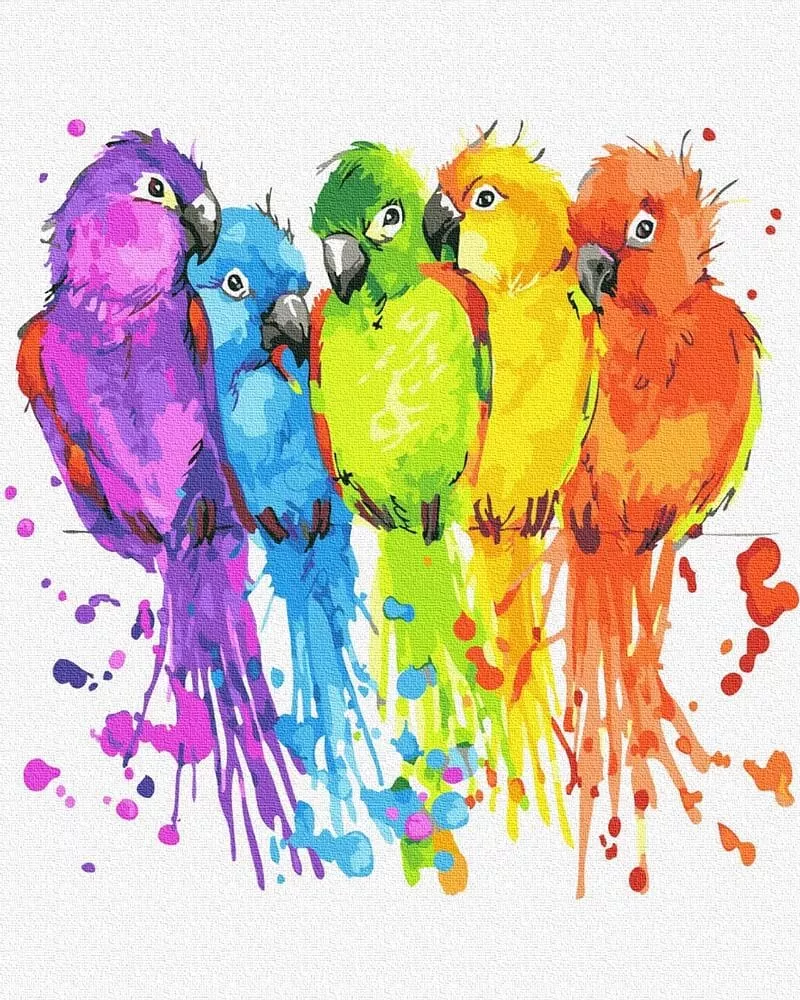 Pictură pe numere – Papagali multicolori