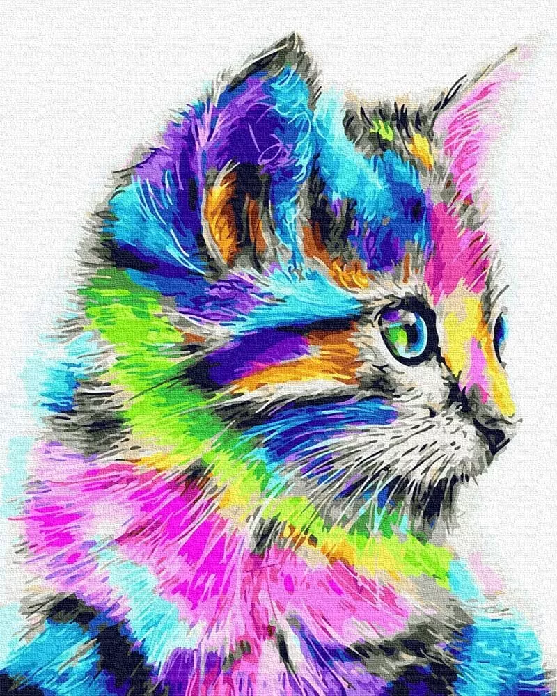 Pictură pe numere – Pisicuța multicoloră, 40 x 50 cm