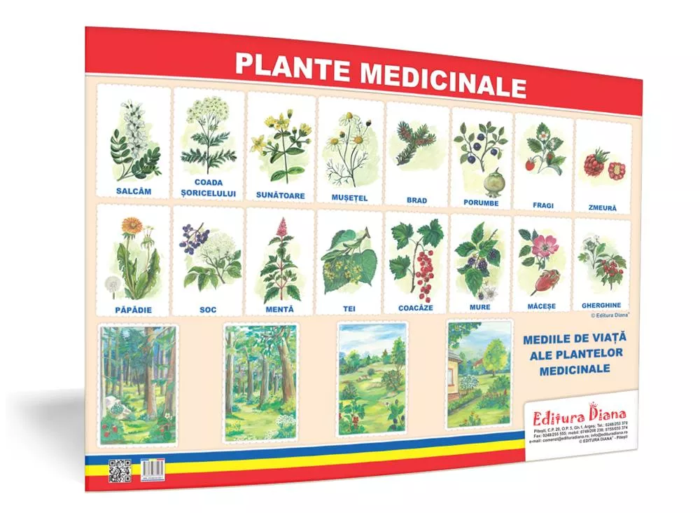 Plante medicinale - planșă 50x70 - Proiecte Tematice