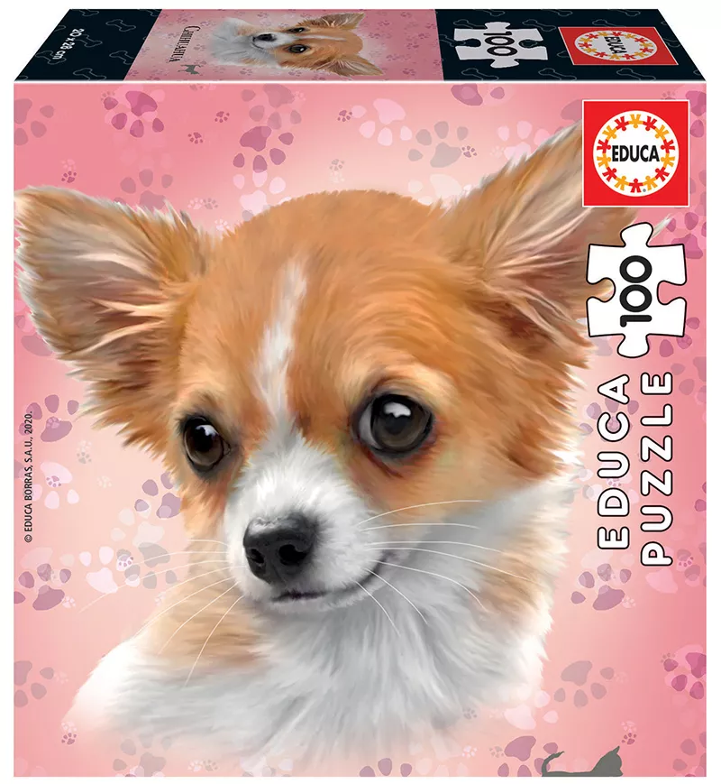 Chihuahua som også er sparebøsse men Chihuahua som også er sparebøsse men 【公式通販】