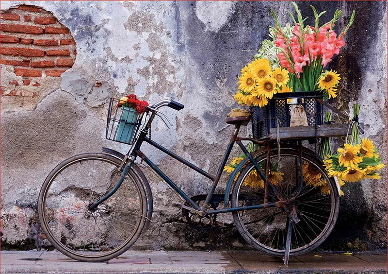 Puzzle cu 500 de piese - Bicicletă cu flori