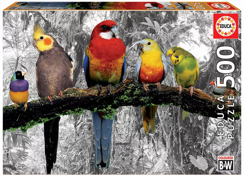 Puzzle cu 500 de piese - Păsări în junglă