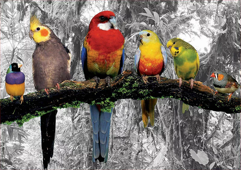 Puzzle cu 500 de piese - Păsări în junglă