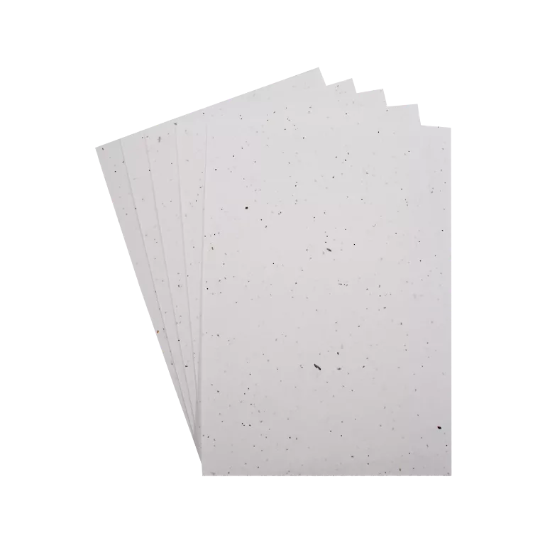 Set de 5 foi de hârtie plantabilă cu semințe - 21 x 30 cm