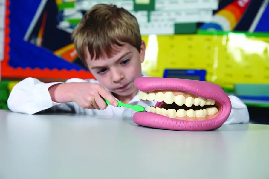 Set demonstrativ pentru igiena dentară