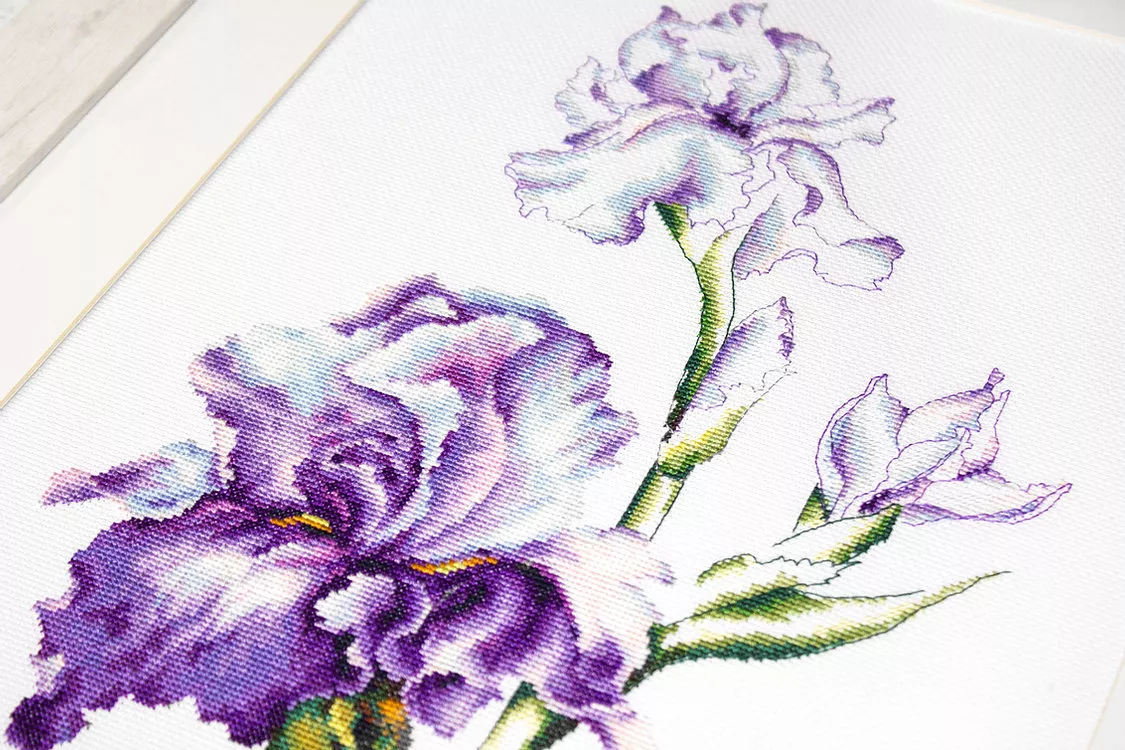 Set broderie cu ață și ac - Flori de iris
