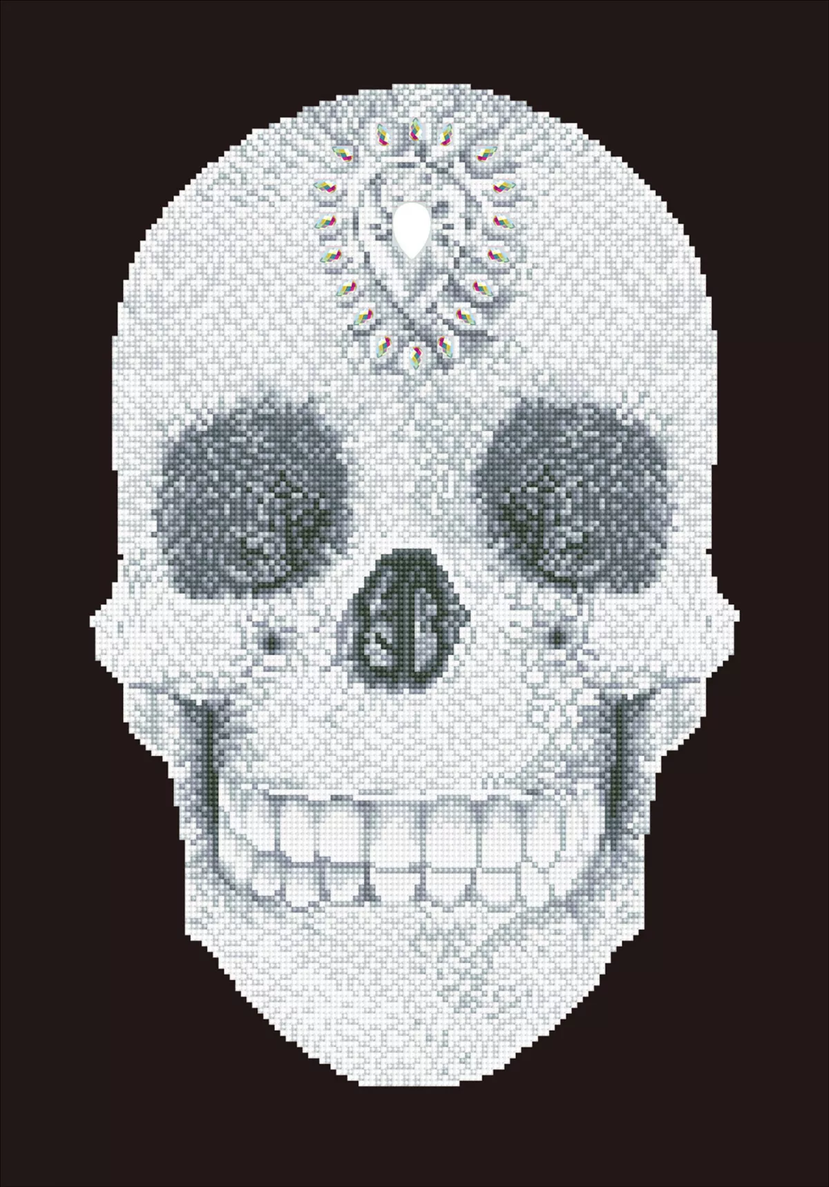 Tablou cu diamante - Craniu de cristal