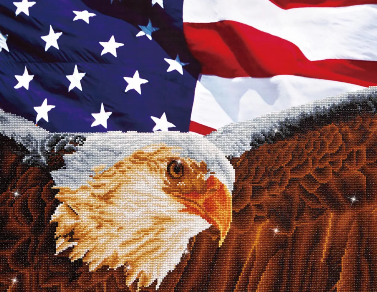 Tablou cu diamante - Vultur și drapel american
