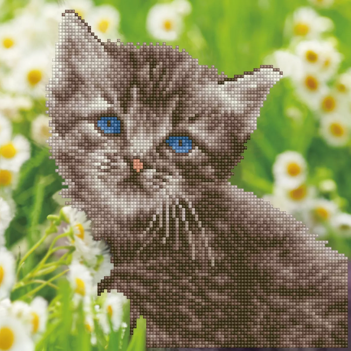 Tablou cu diamante – Pisicuța cu ochi albaștri