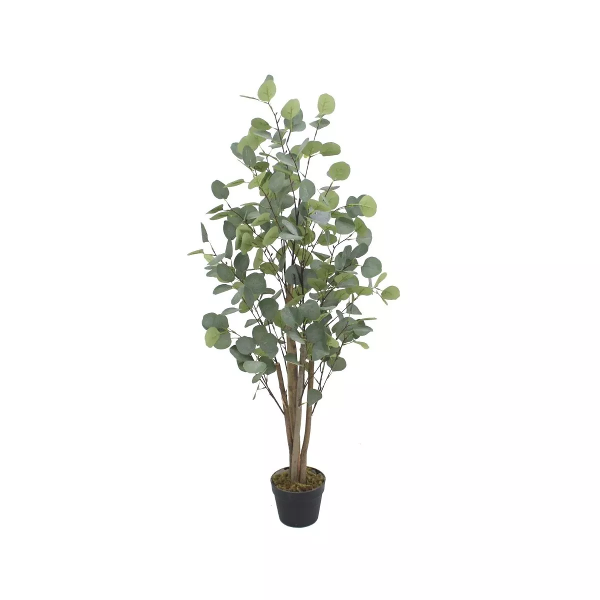Planta artificiala 120 cm Eucalyptus 1