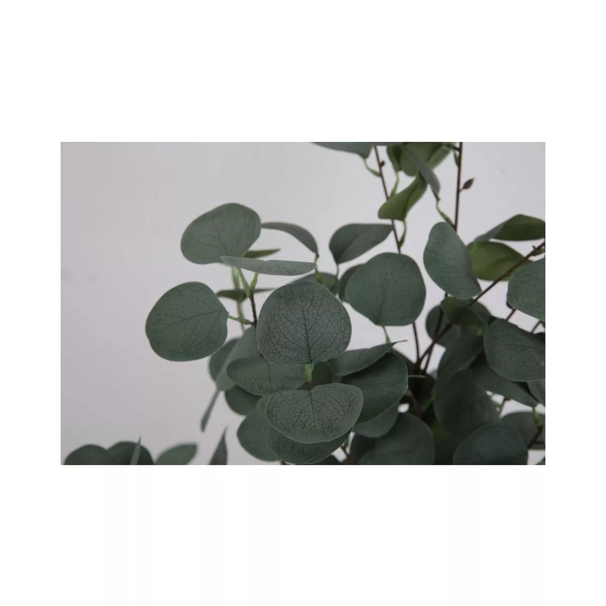 Planta artificiala 120 cm Eucalyptus 2
