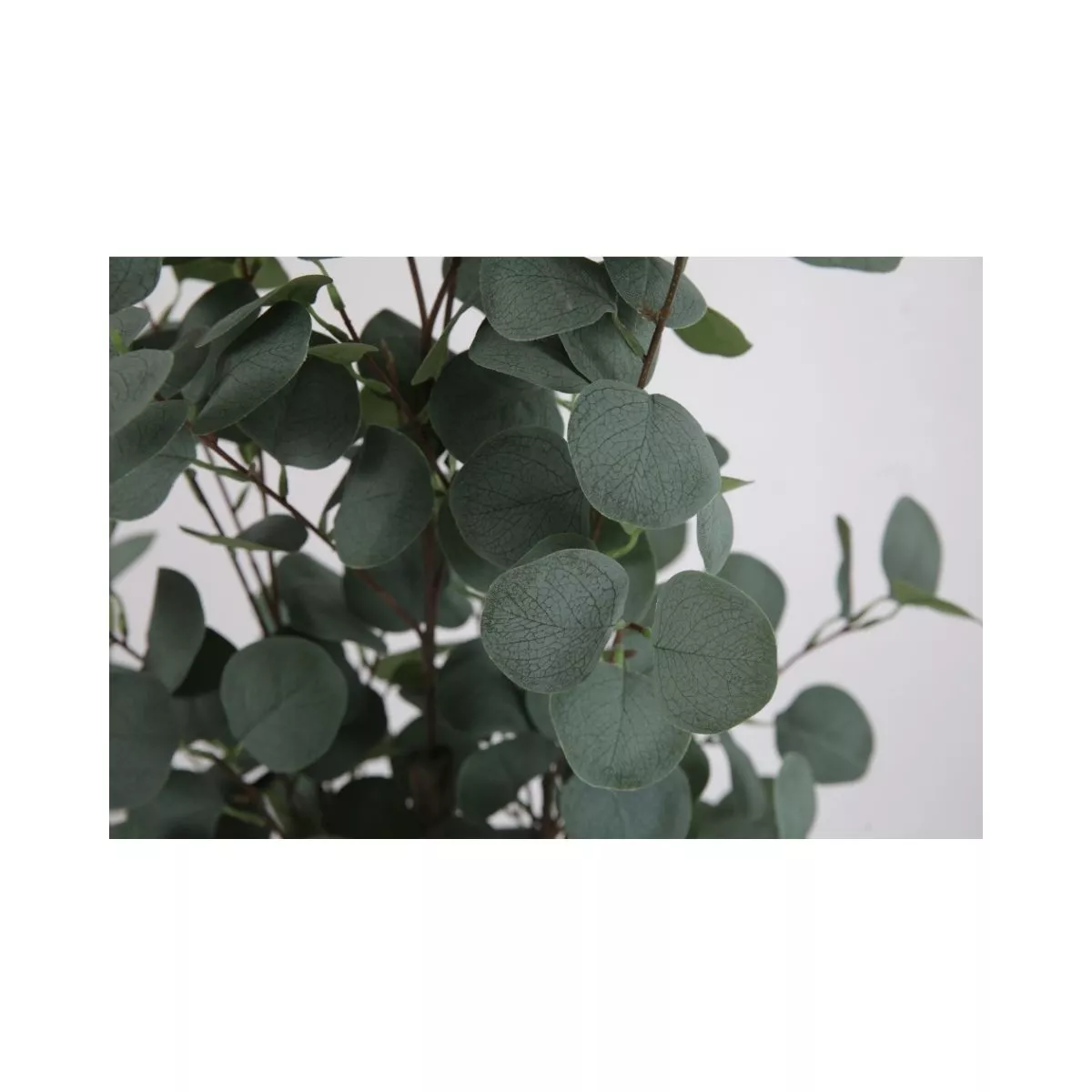 Planta artificiala 120 cm Eucalyptus 3