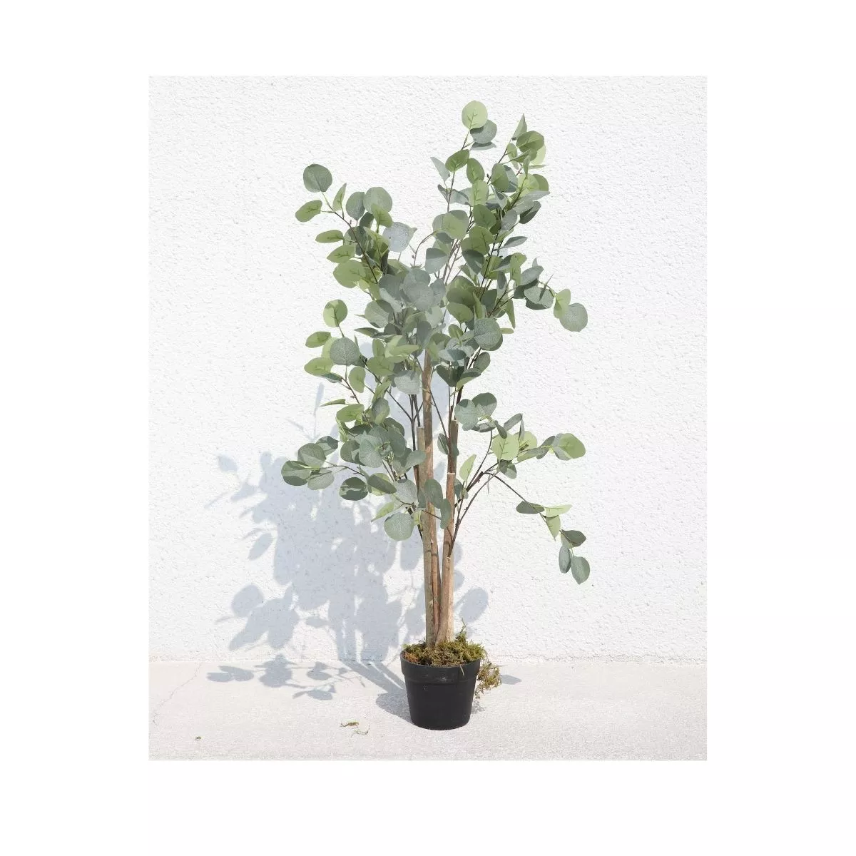 Planta artificiala 120 cm Eucalyptus 4