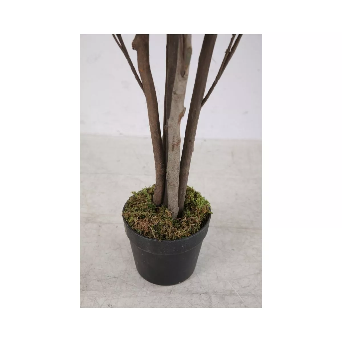 Planta artificiala 120 cm Eucalyptus 5