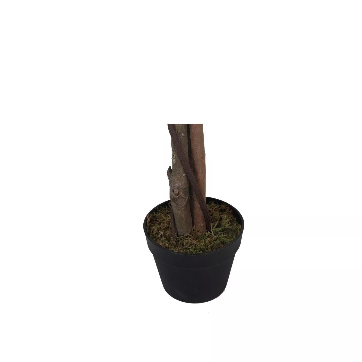 Planta artificiala 160 cm Ficus 1008 4