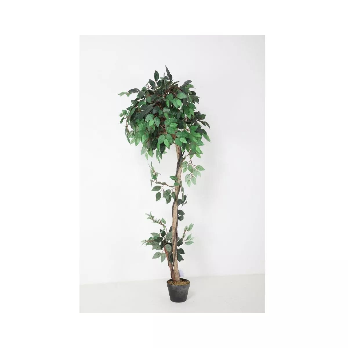 Planta artificiala 160 cm Ficus 756 4