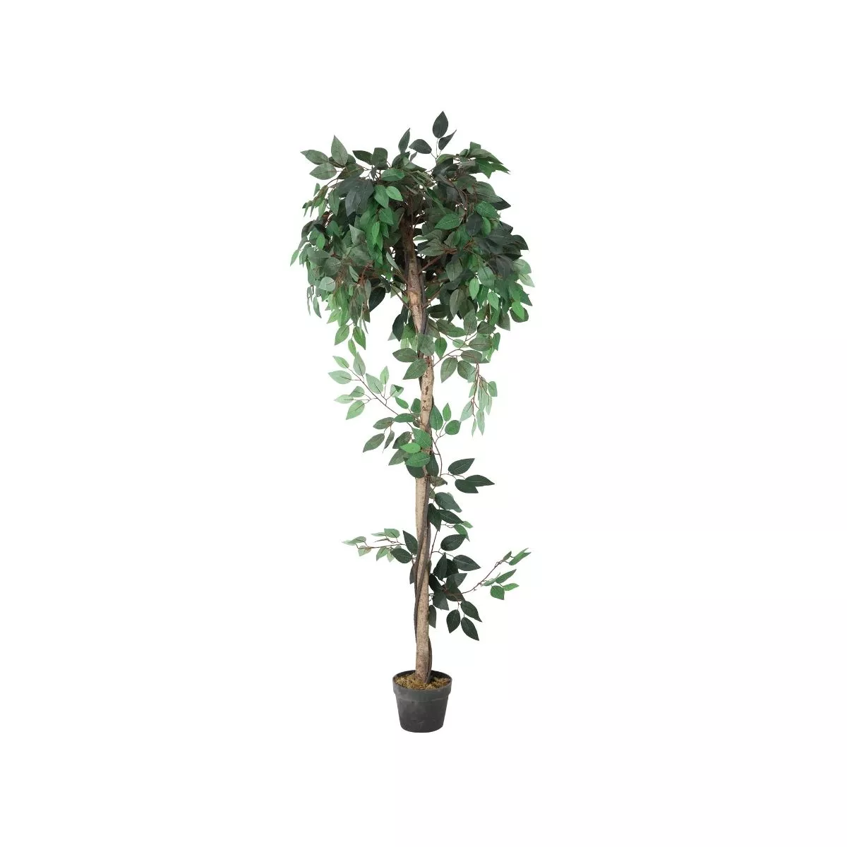 Planta artificiala 160 cm Ficus 756 5