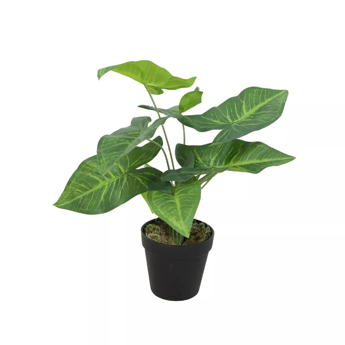 Planta artificiala 40 cm Colocazie 1