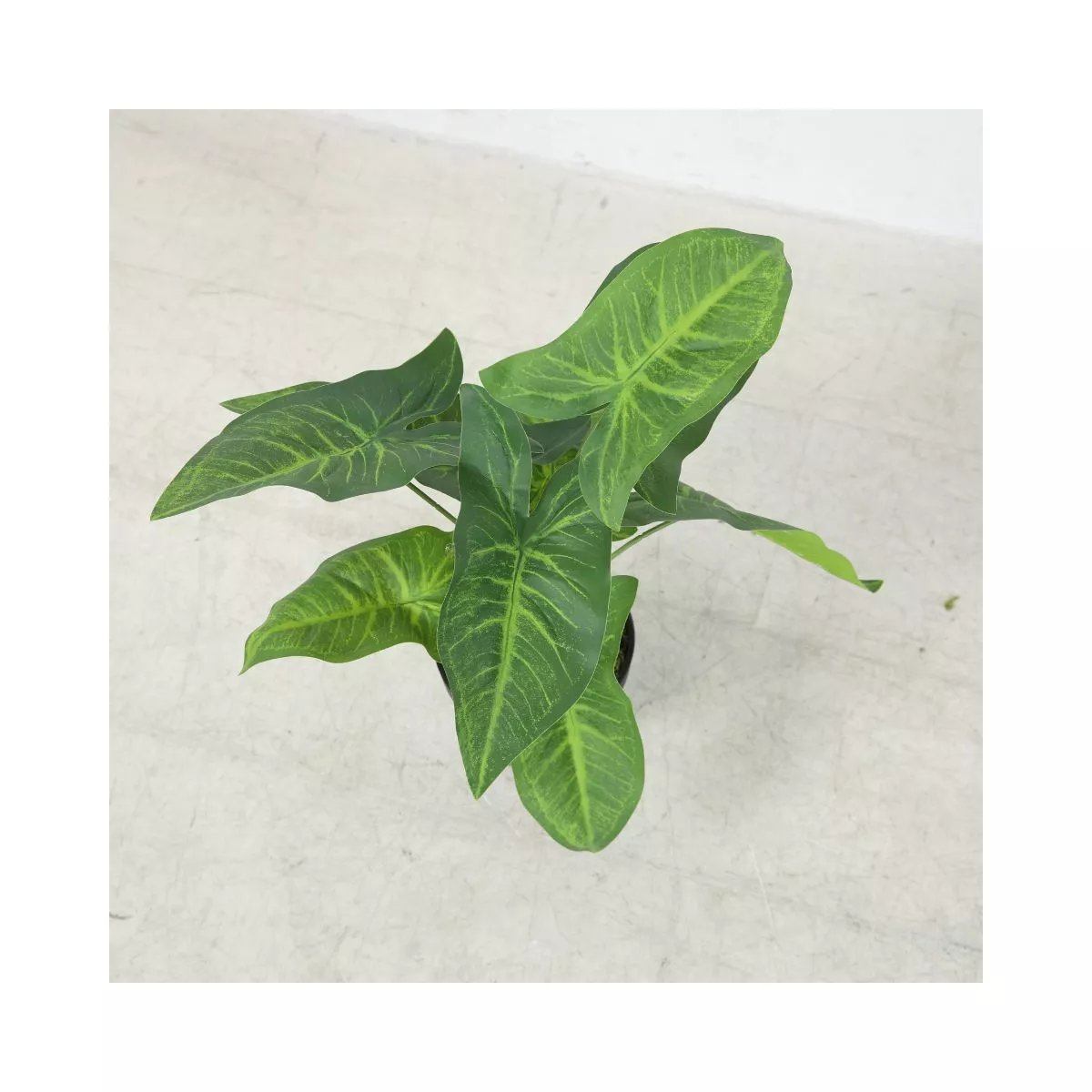 Planta artificiala 40 cm Colocazie 5
