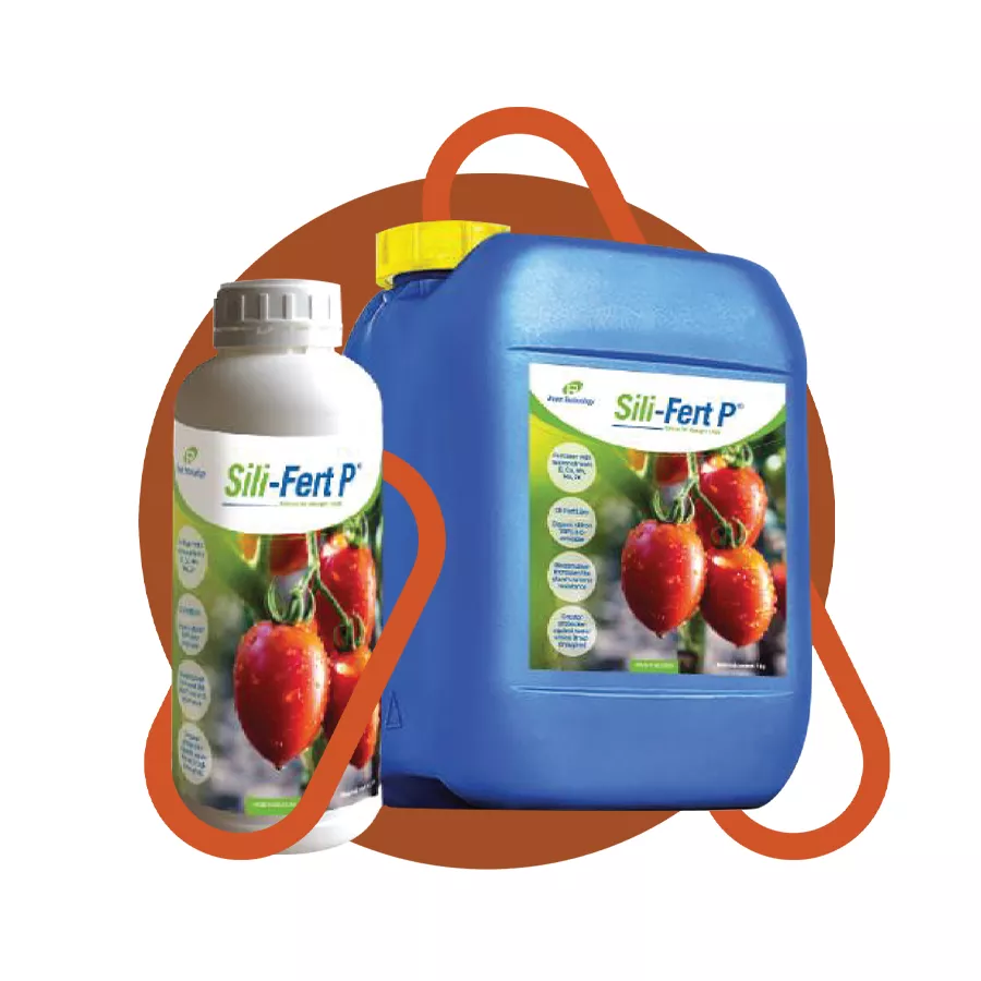 SILI-FERT P, biostimulator pentru dezvoltare si protejare, 1 litru 1