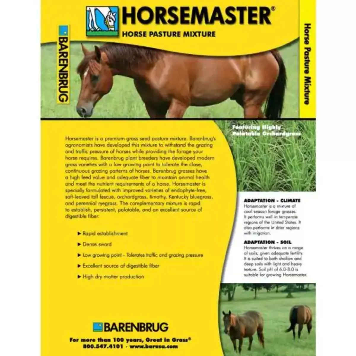 Seminte Amestec Furajer BARENBRUG HorseMaster Grazing 15 kg , Poa pratensis, Festuca rubra rubra, Lolium perenne, Timoftica 3