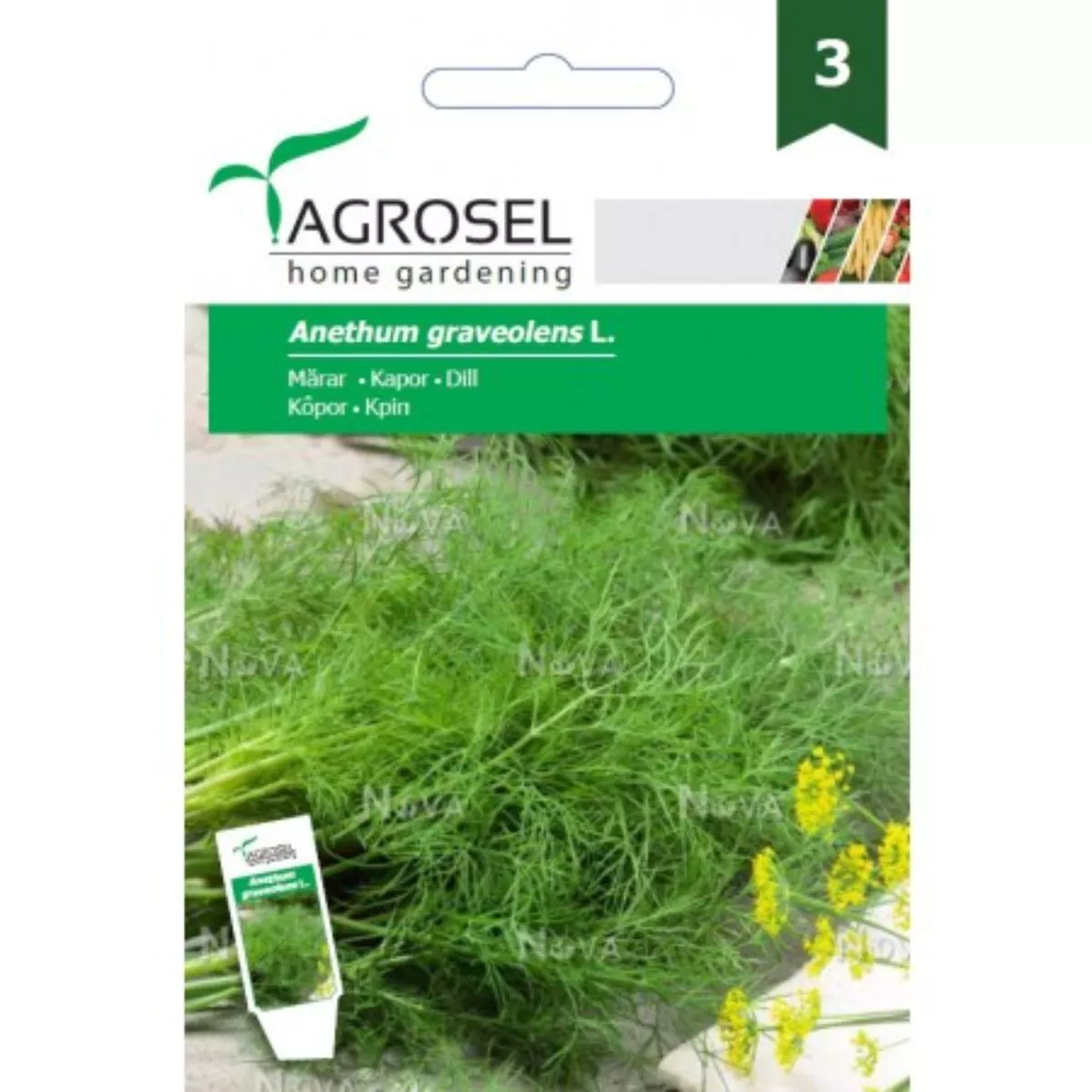 Seminte aromatice Marar Agromar Agrosel 5 g 1