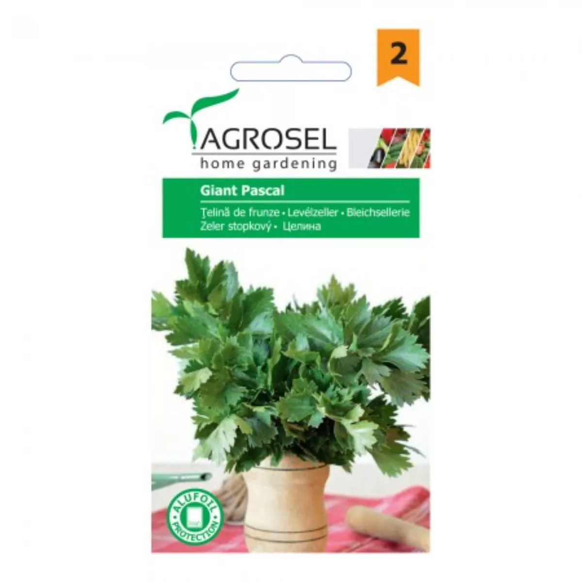 Seminte aromatice Telina de frunze Pascal Giant Agrosel 2 g 1